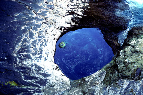 Blue1-30"Nov 03 1abcd