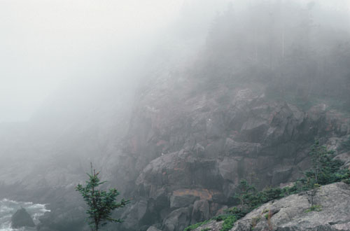 burnthead Fog.web