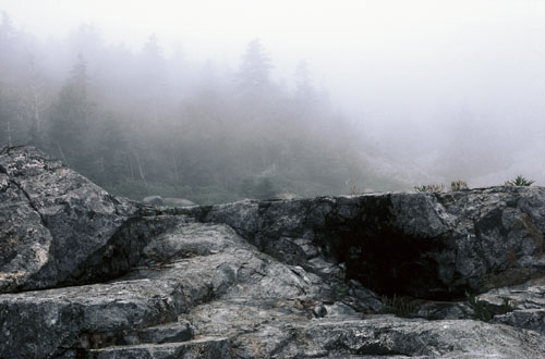 SquekerCove*Fog.sml for WEB
