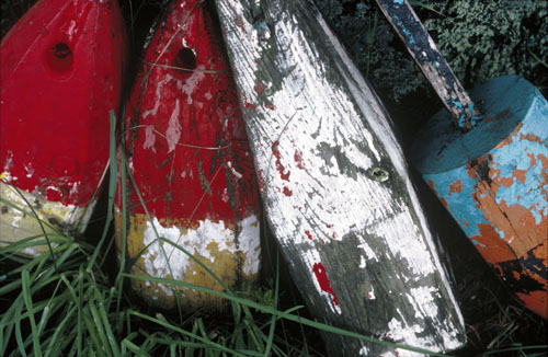 bouys.web