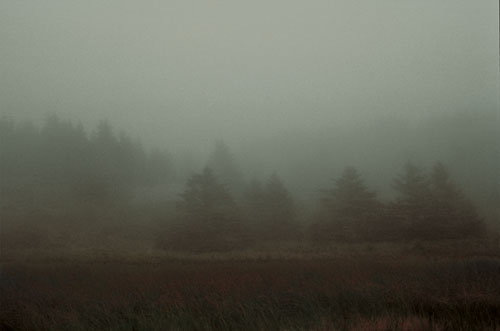 lobstercovefog*.sml for WEB