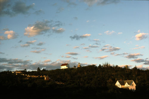 Museum Hill 10"/a crppd